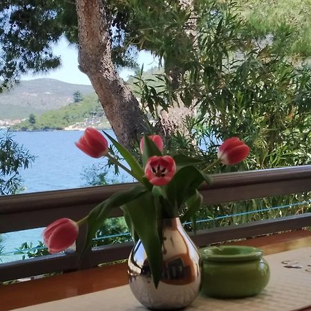 Holiday Home Milenka Rogoznica  Buitenkant foto