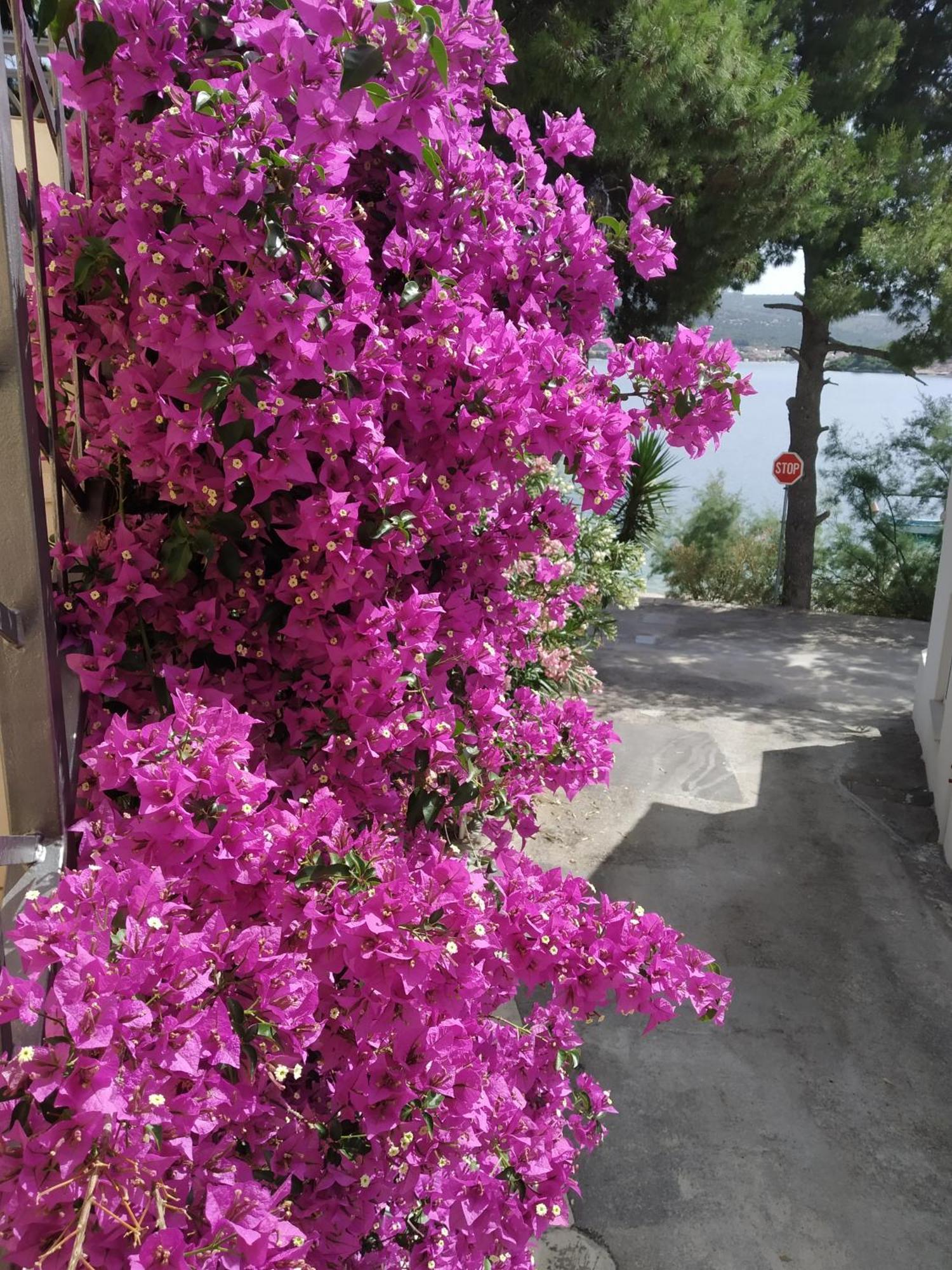 Holiday Home Milenka Rogoznica  Buitenkant foto