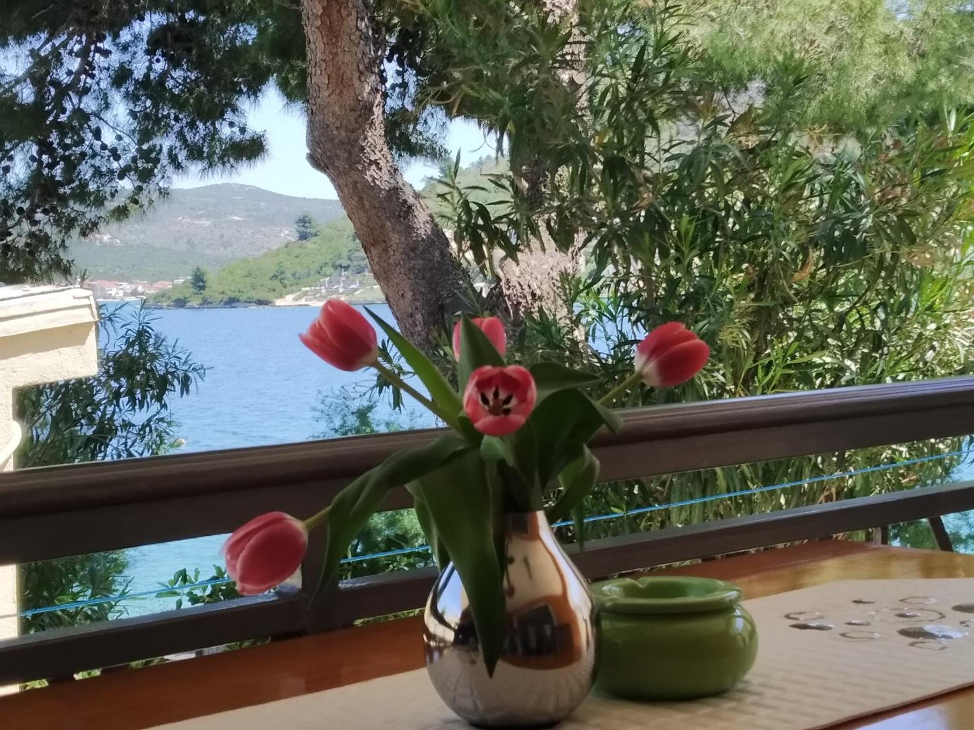 Holiday Home Milenka Rogoznica  Buitenkant foto